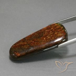 Ammolite Multicolore naturelle Fantaisie, 21.40 ct, Opaque