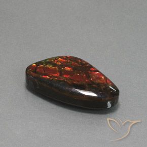 Ammolite Multicolore naturelle Fantaisie, 12.58 ct, Opaque