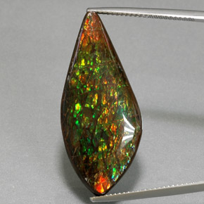 Ammolite multicolore naturelle forme fantaisie, 19,86 ct, opaque
