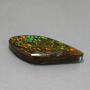 Ammolite multicolore naturelle forme fantaisie, 19,86 ct, opaque