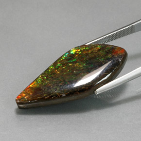 Ammolite multicolore naturelle forme fantaisie, 19,86 ct, opaque