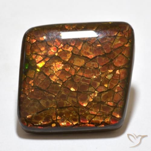 Ammolite Multicolore naturelle Fantaisie, 20.34 ct, Opaque