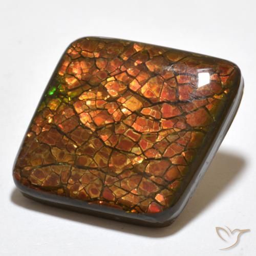 Ammolite Multicolore naturelle Fantaisie, 20.34 ct, Opaque