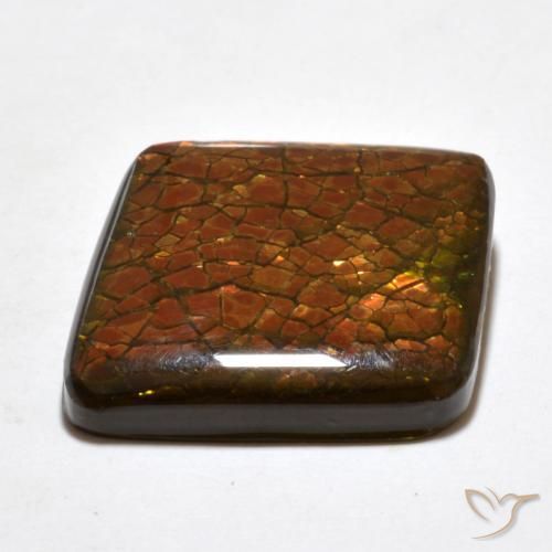 Ammolite Multicolore naturelle Fantaisie, 20.34 ct, Opaque