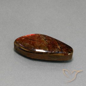 Ammolite Multicolore naturelle Fantaisie, 11.37 ct, Opaque