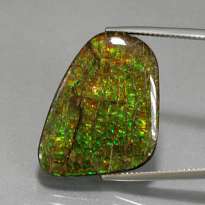 Ammolite multicolore naturelle forme fantaisie, 21,28 ct, opaque