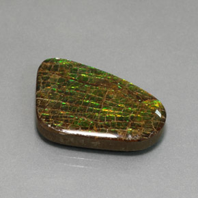 Ammolite multicolore naturelle forme fantaisie, 21,28 ct, opaque