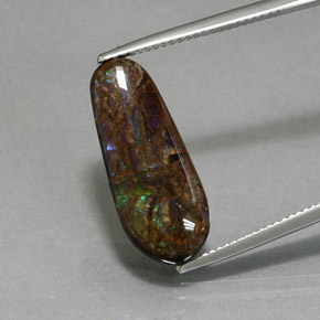 Ammolite Multicolore naturelle Forme fantaisie, 8.48 ct, Opaque