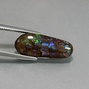Ammolite Multicolore naturelle Forme fantaisie, 8.48 ct, Opaque