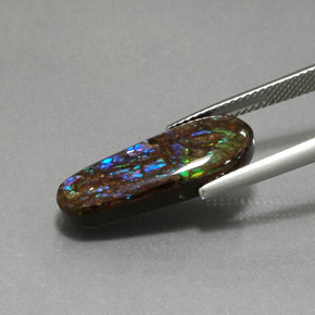 Ammolite Multicolore naturelle Forme fantaisie, 8.48 ct, Opaque