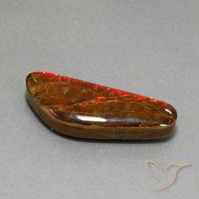 Ammolite Multicolore naturelle Fantaisie, 17.60 ct, Opaque