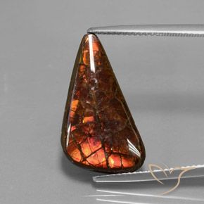 Ammolite multicolore naturelle forme fantaisie, 8,81 ct, opaque