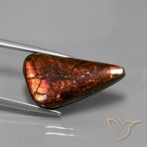 Ammolite multicolore naturelle forme fantaisie, 8,81 ct, opaque
