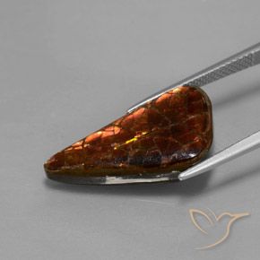Ammolite multicolore naturelle forme fantaisie, 8,81 ct, opaque