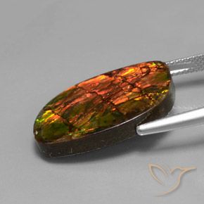 Ammolite Multicolore naturelle Fantaisie, 13.27 ct, Opaque
