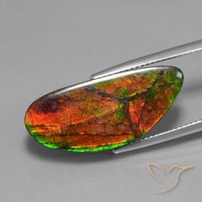 Ammolite Multicolore naturelle Fantaisie, 12.10 ct, Opaque
