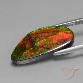 Ammolite Multicolore naturelle Fantaisie, 12.10 ct, Opaque