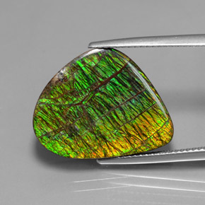 Ammolite multicolore naturelle forme fantaisie, 12,97 ct, opaque