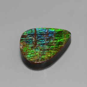 Ammolite multicolore naturelle forme fantaisie, 12,97 ct, opaque