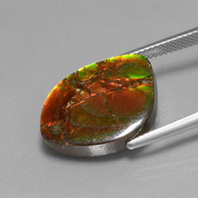 Ammolite multicolore naturelle forme fantaisie, 13,21 ct, opaque