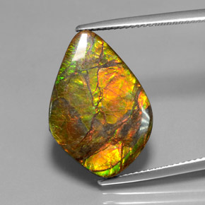 Ammolite multicolore naturelle forme fantaisie, 10,41 ct, opaque