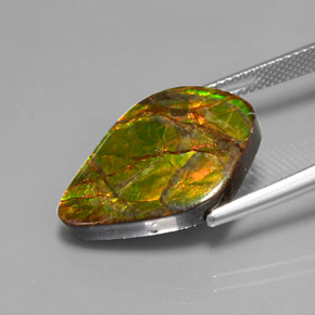 Ammolite multicolore naturelle forme fantaisie, 10,41 ct, opaque