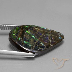 Ammolite Multicolore naturelle Fantaisie, 15.28 ct, Opaque