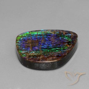 Ammolite Multicolore naturelle Fantaisie, 15.82 ct, Opaque