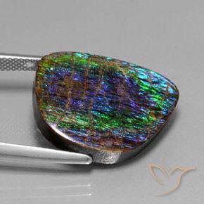 Ammolite Multicolore naturelle Fantaisie, 15.82 ct, Opaque