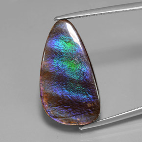 Ammolite Multicolore naturelle Forme fantaisie, 15.59 ct, Opaque
