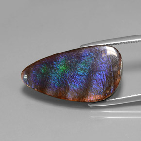 Ammolite Multicolore naturelle Forme fantaisie, 15.59 ct, Opaque