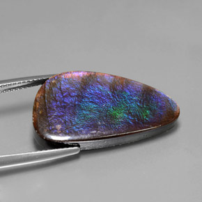 Ammolite Multicolore naturelle Forme fantaisie, 15.59 ct, Opaque