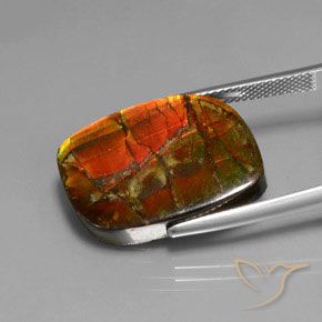 Ammolite Multicolore naturelle Fantaisie, 17.18 ct, Opaque