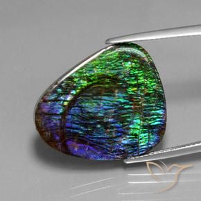 Ammolite Multicolore naturelle Fantaisie, 18.37 ct, Opaque