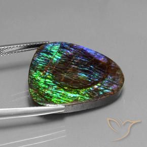 Ammolite Multicolore naturelle Fantaisie, 18.37 ct, Opaque