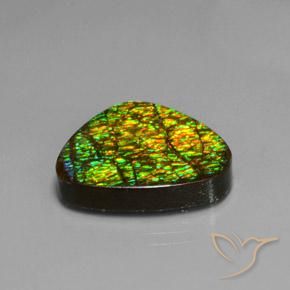 Ammolite Multicolore naturelle Trillion, 19.08 ct, Opaque
