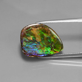 Ammolite Multicolore naturelle Forme fantaisie, 10.38 ct, Opaque