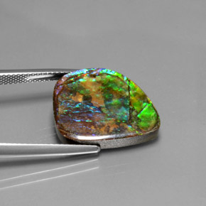 Ammolite Multicolore naturelle Forme fantaisie, 10.38 ct, Opaque