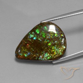 Ammolite Multicolore naturelle En forme de poire, 14.33 ct, Opaque