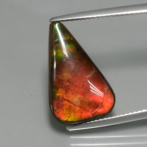Ammolite multicolore naturelle forme fantaisie, 7,72 ct, opaque