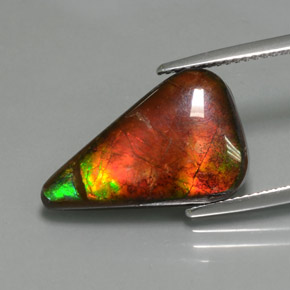 Ammolite multicolore naturelle forme fantaisie, 7,72 ct, opaque