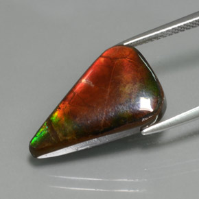 Ammolite multicolore naturelle forme fantaisie, 7,72 ct, opaque