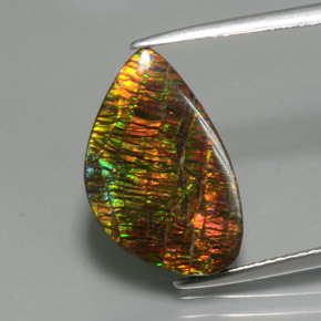 Ammolite Multicolore naturelle Forme fantaisie, 5.72 ct, Opaque