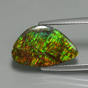 Ammolite Multicolore naturelle Forme fantaisie, 5.72 ct, Opaque