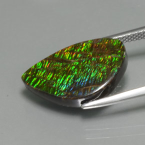 Ammolite Multicolore naturelle Forme fantaisie, 5.72 ct, Opaque
