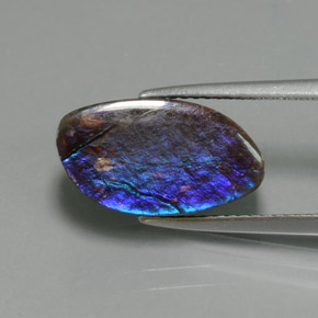 Ammolite Multicolore naturelle Forme fantaisie, 4.88 ct, Opaque