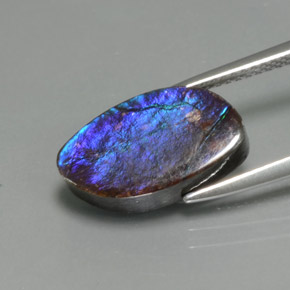 Ammolite Multicolore naturelle Forme fantaisie, 4.88 ct, Opaque