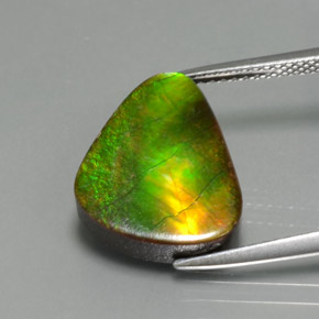 Ammolite multicolore naturelle forme fantaisie, 6,81 ct, opaque