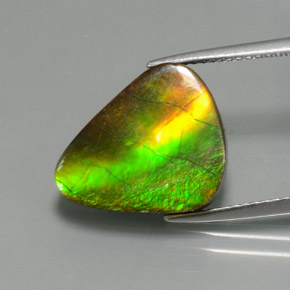Ammolite multicolore naturelle forme fantaisie, 6,81 ct, opaque