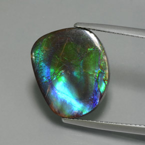 Ammolite Multicolore naturelle Forme fantaisie, 8.30 ct, Opaque